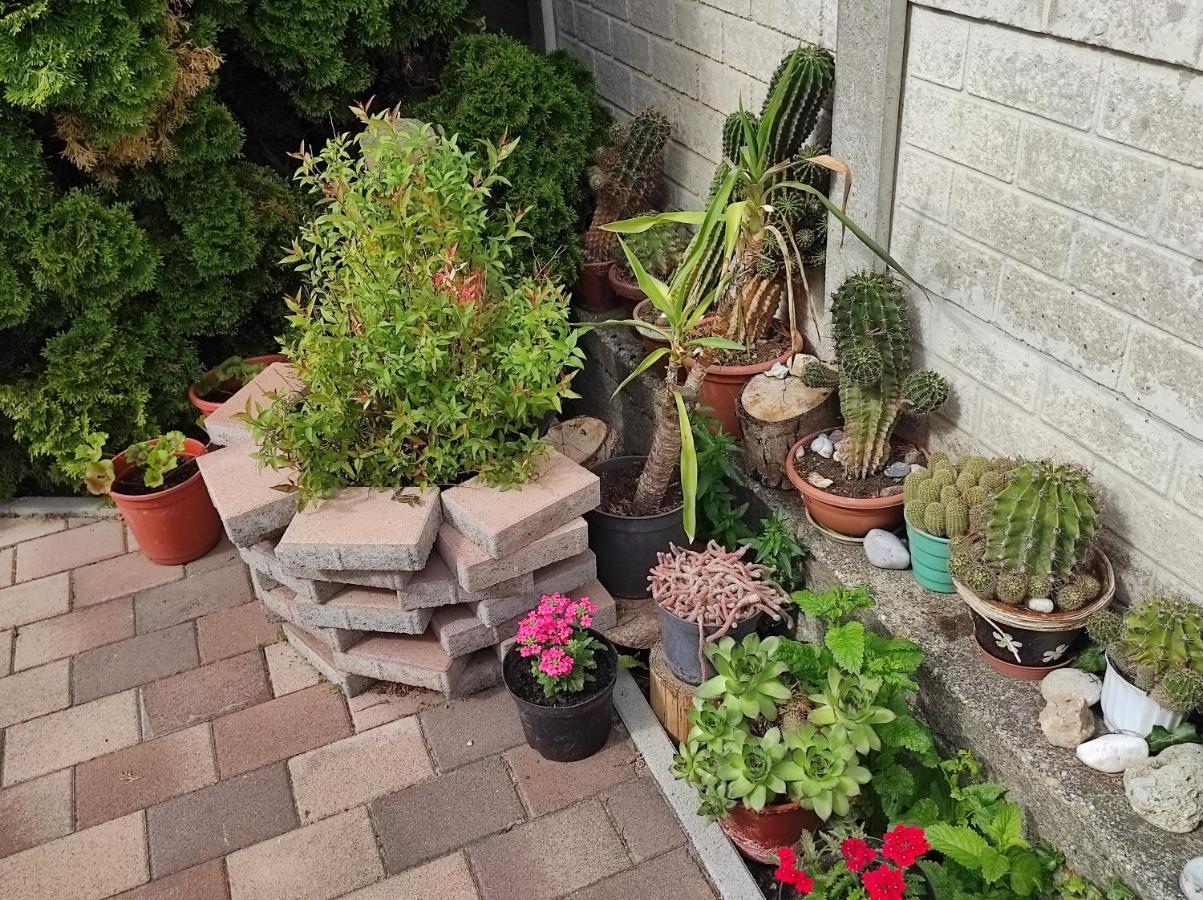Appartamenti delle vacanze Keszthely Esterno foto